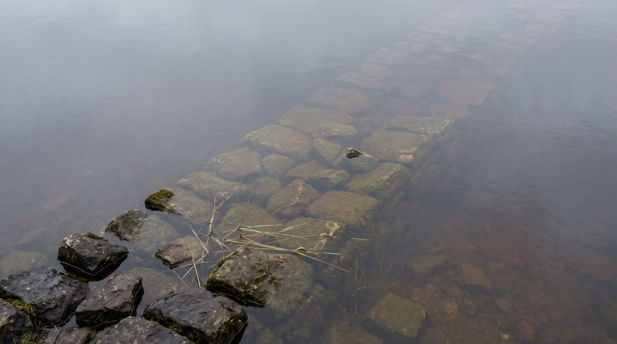 Still water over the submerged remains of a drystone wall, the stones furred with silt and disappearing into deeper water. An illustrative image, not a photograph of Capel Celyn.